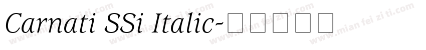 Carnati SSi Italic字体转换